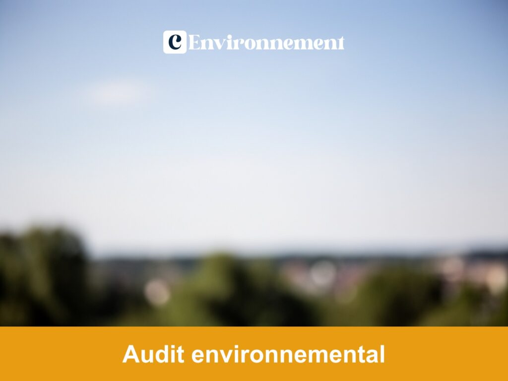 Audit environnemental