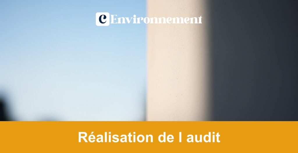 Réalisation de l audit
